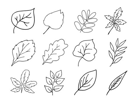 Set of Simple hand drawn doodles. leaves silhouette vector set for coloring book.