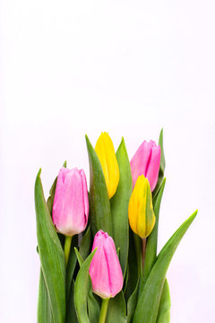 Bouquet of yellow and pink tulips isolated on white background with clipping path. Valentine's Day and Mother's Day background.