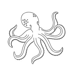 Doodle octopus for coloring.Sea animals for children 's coloring pages.Hand drawn vector illustration isolated on white background