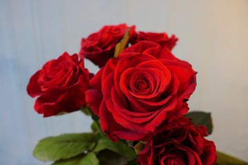 bouquet of red roses on light background