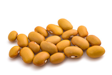 Yellow  kidney  beans