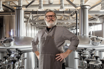 Professional brewer on his own craft alcohol production. Specialist, senior man in workwear posing confident. Concept of open business, eco product, craft brewery, factory, manufactory, start up.