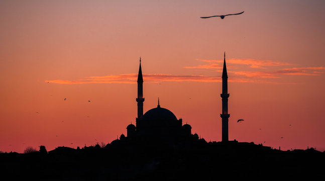 Istanbul Mosque At Sunset