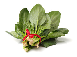  Spinach on a white background