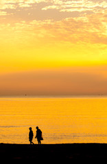 People stood watching the sea, Sunrise and happy