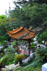 Beautiful Park with ponds lush green trees in Sydney NSW Australia at Sunset on a summer afternoon