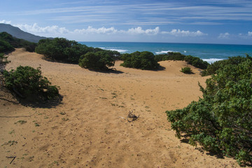 Le dune di sabbia di Scivu