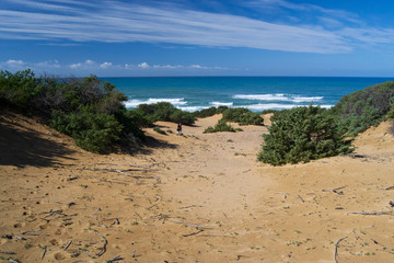 Le dune di sabbia di Scivu