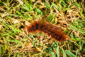 Hiking from Inle Lake to Kalaw