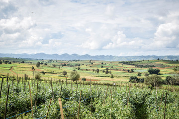 Hiking from Inle Lake to Kalaw