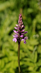 Landschaft rund um den Vogelsberg