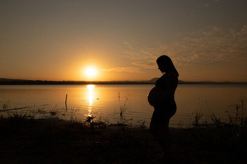 Fototapeta premium Silueta de mujer embarazada