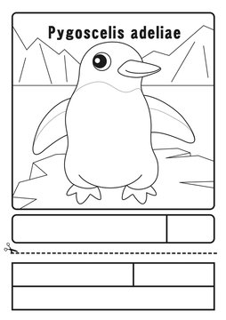 アデリーペンギン　ぬりえ　応募用紙　coloring picture Pygoscelis adeliae Character illustration
