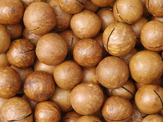 Shelled and unshelled macadamia nuts