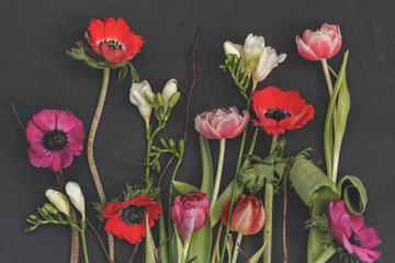 Flowers herbarium on vintage background. Floral art. Floral design. Botanical background.