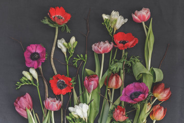 Fototapeta premium Flowers herbarium on vintage background. Floral art. Floral design. Botanical background.