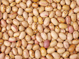 roman bean background
