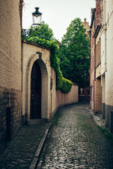 Narrow street with brick wall