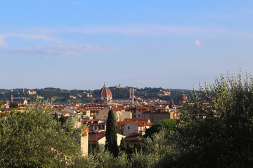 Fototapeta premium Top view of Duomo cathedral in Florence
