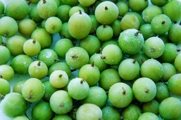Frozen gooseberries in macro shot. Front view