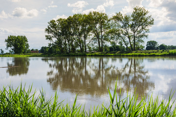 Fototapeta na wymiar Flusslandschaft mit sich im Wasser spiegelnden Bäumen bei Leer in Ostfriesland, Niedersachsen, Deutschland