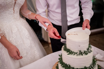 Obraz na płótnie Canvas bride and groom cut a wedding cake