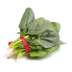 Spinach on white background