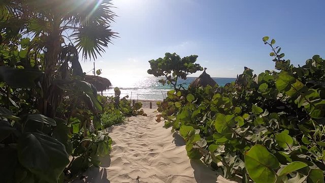 Beautiful Tulum beach walking on the sand, rear view.