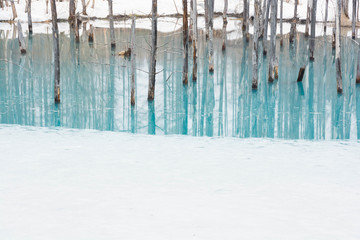 氷が溶け始めた冬の青い池　美瑛町