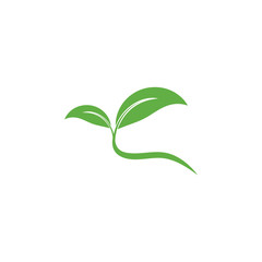 Fototapeta premium Leaf Logo Template vector symbol