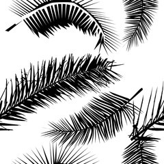 A seamless background of palm leaves. Vector illustration