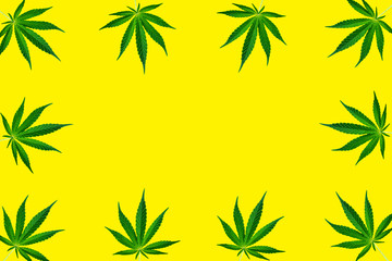 Fototapeta premium Floral square frame made of cannabis leaves on bright yellow background.