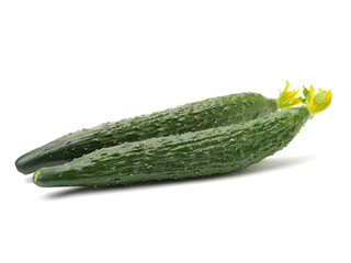 fresh cucumbers on white background