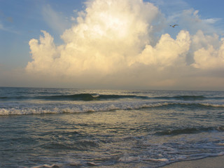 Sunrice, Holmes Beach, Anna Maria Island, Bradenton, Florida, USA