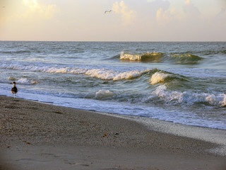 Sunrice, Holmes Beach, Anna Maria Island, Bradenton, Florida, USA