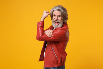 Side view of elderly gray-haired mustache bearded man in red leather jacket posing isolated on yellow orange background. People lifestyle concept. Mock up copy space. Showing biceps muscles screaming.