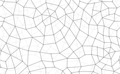 Vector seamless texture line network with point. White background.