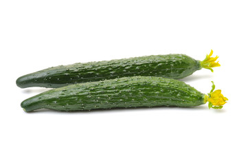 fresh cucumbers on white background