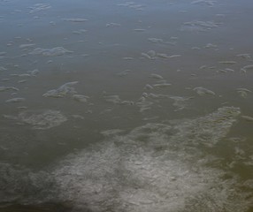 A close view of the icy water surface in the wintertime.