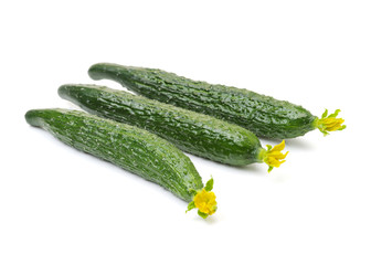 fresh cucumbers on white background