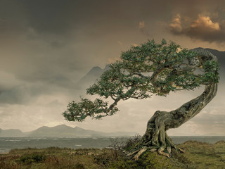 Fantasy landscape with sea, hills, mountains, and a very special tree in warm colored surroundings