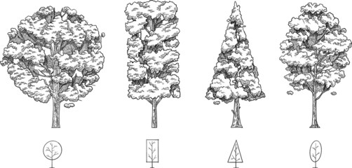 hand drawn vector set of trees