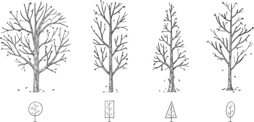 hand drawn vector set of trees