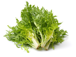 Escarole Endive on a white background 