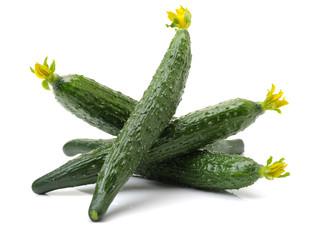 fresh cucumbers on white background
