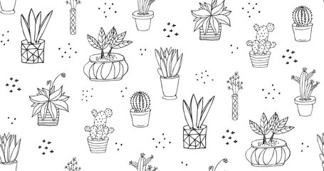 Seamless pattern with black and white sketch house plant in pot isolated on white background.