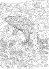 Coloring pages for adult with blue whale