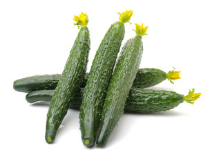 fresh cucumbers on white background
