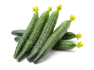 fresh cucumbers on white background
