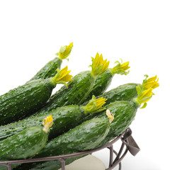fresh cucumbers on white background